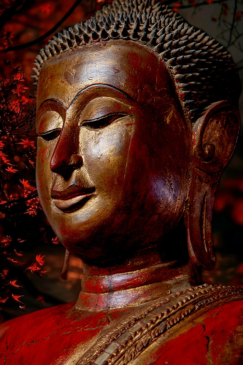 Thaibuddha #buddha #buddhas #antiquebuddhas 3antiquebuddha